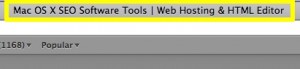 RAGE Software Title Tag In Safari