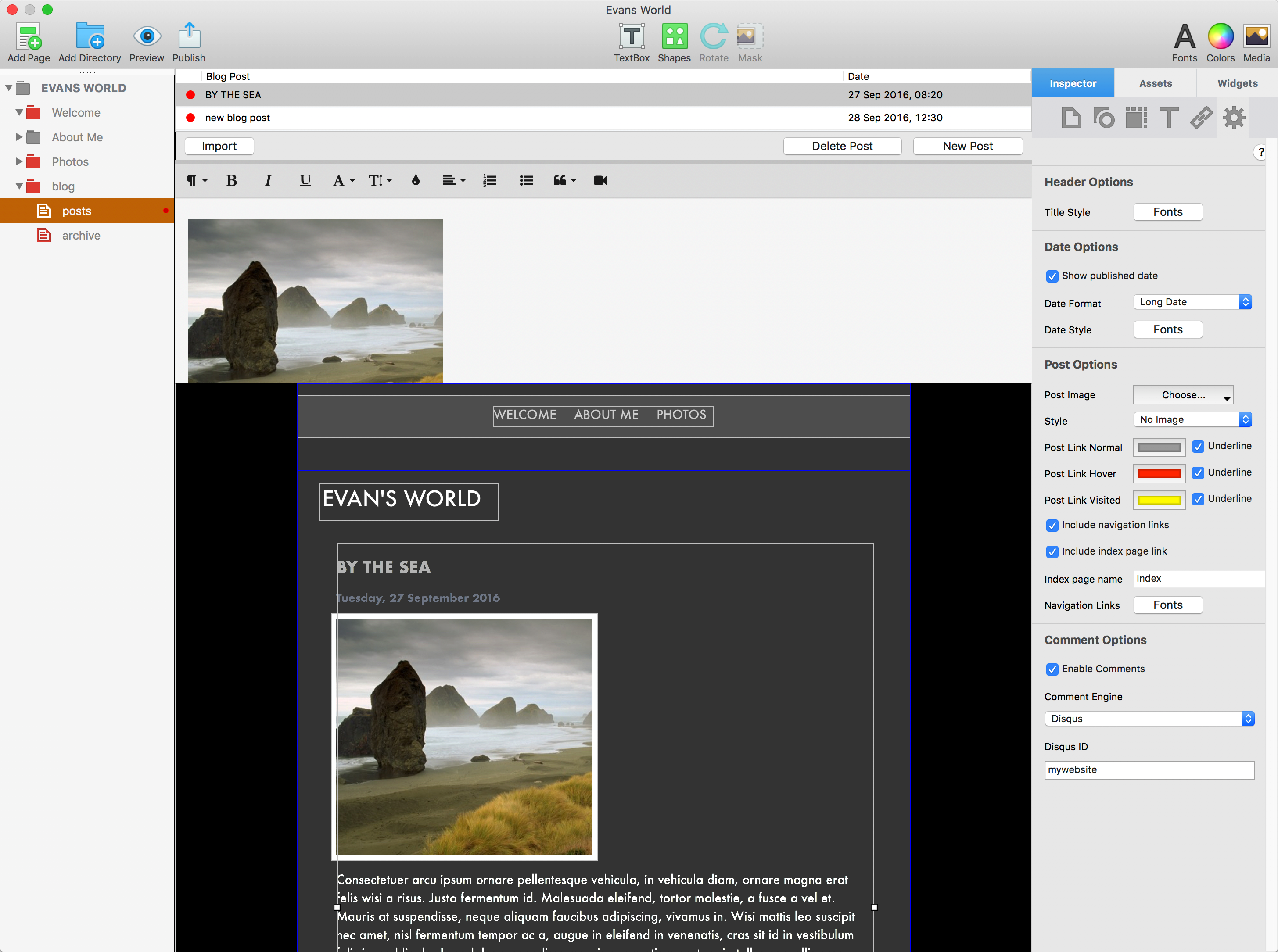 iWeb blog posts can be easily imported in to EverWeb version 2.0