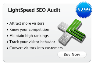Search Engine Optimization for LightSpeed Webstore