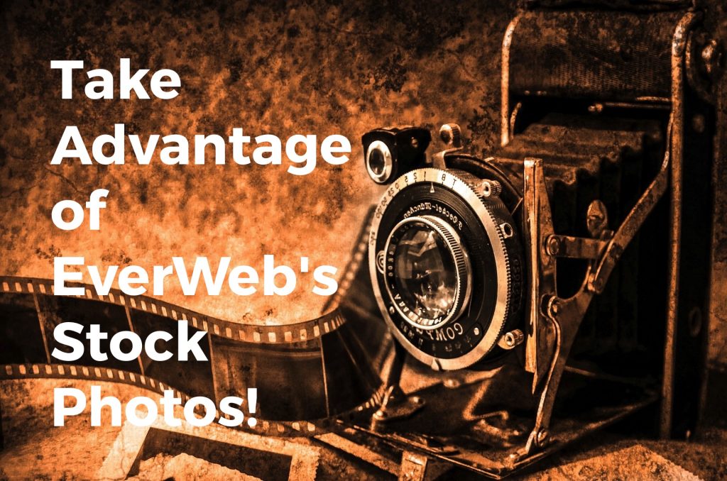 EverWeb Stock Photo Feature