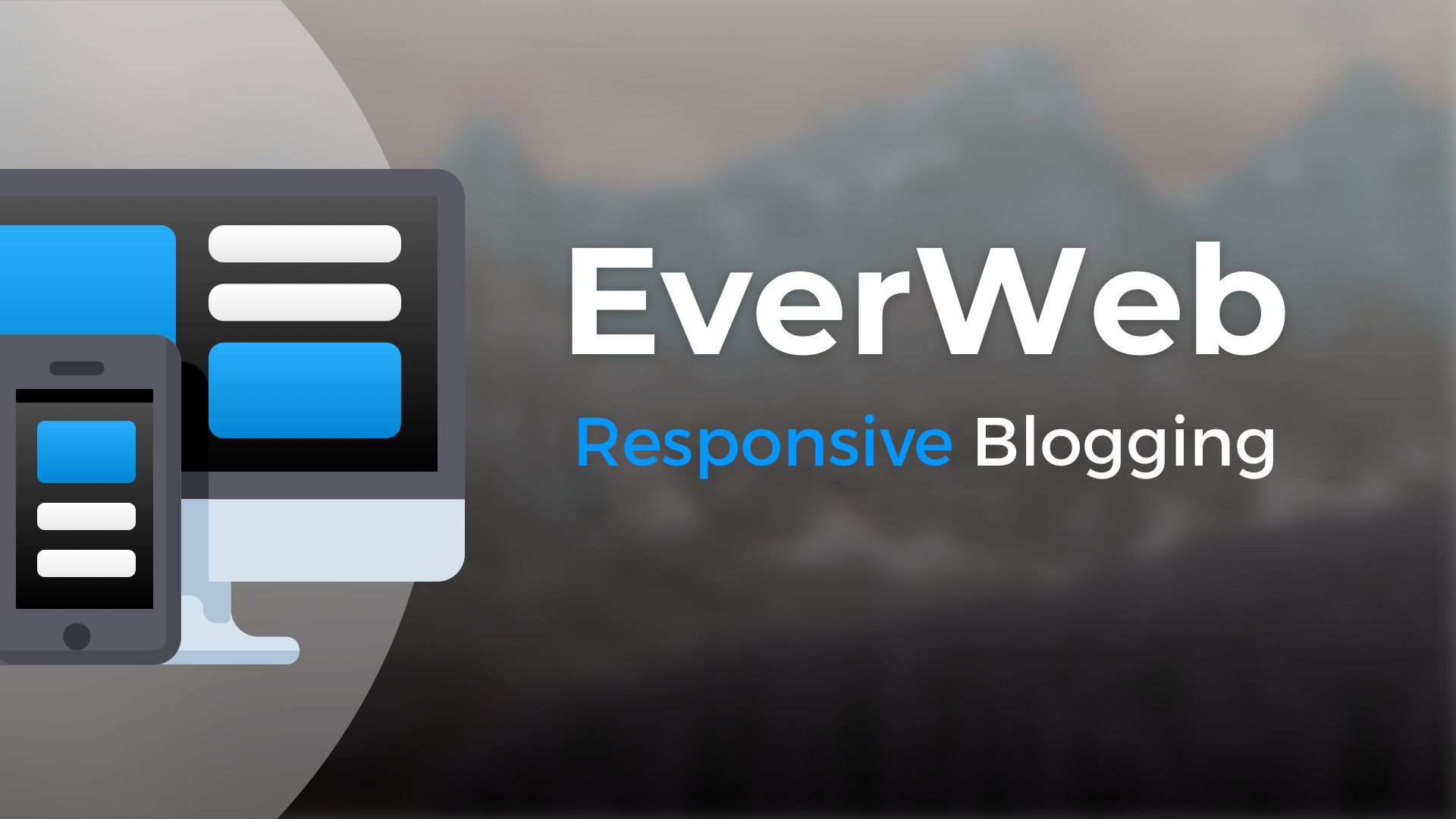 everweb seo everweb seo