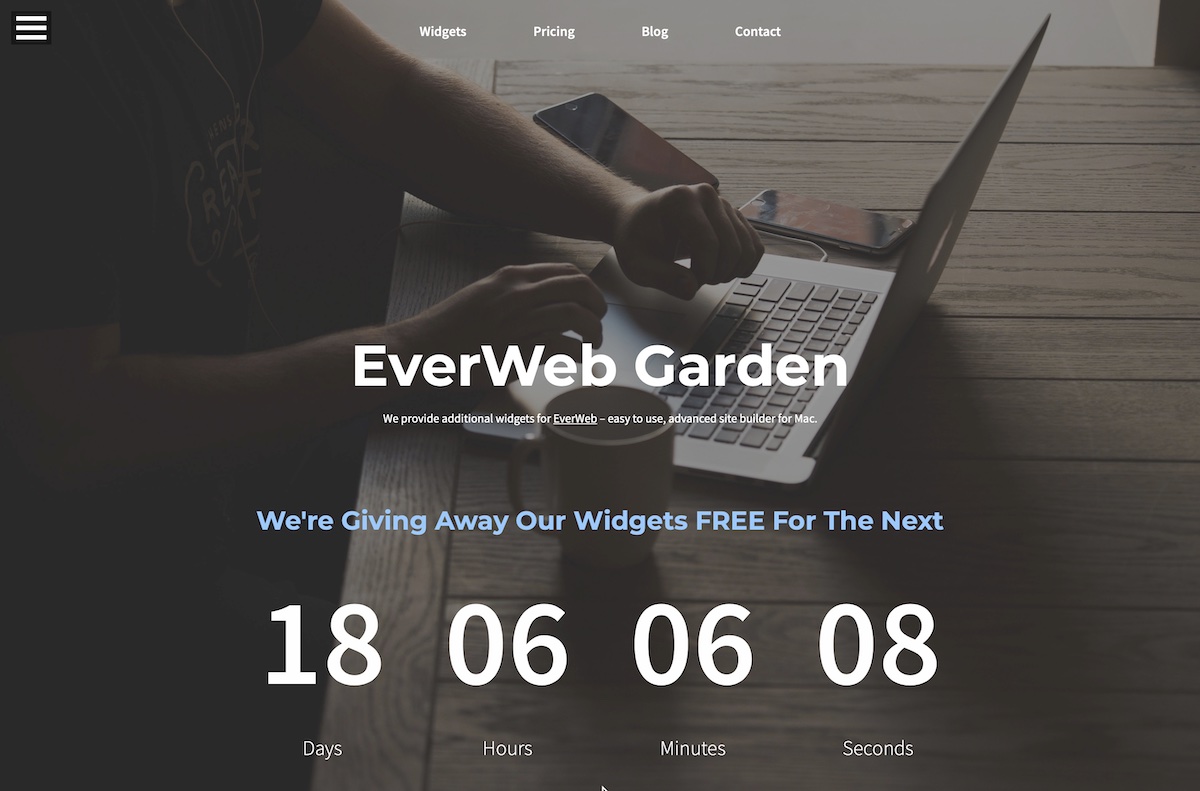 EverWeb Widget by EverWebGarden.com