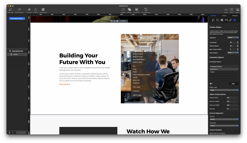 EverWeb's Embed In Option